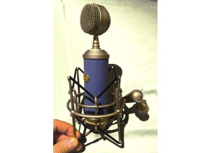 Blue Microphones Bluebird (80040)