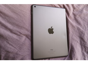 Apple iPad 9.7 (10643)