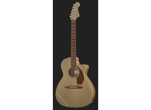 Fender Malibu Player (58107)
