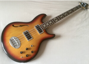 Lakland Skyline Hollowbody (5850)