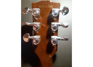 Gibson Les Paul Double Cut DC Pro (58238)