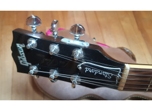 Gibson Les Paul Double Cut DC Pro (65466)