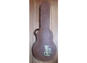 Gibson Les Paul Double Cut DC Pro (80610)