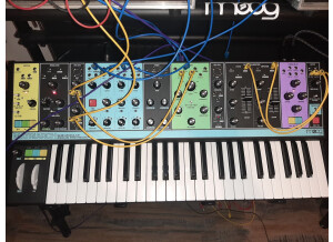 Moog Music Matriarch (27930)
