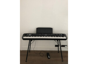 Korg SV-1 88 (68789)