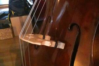 Violmaster Contrebasse Prima 1/2