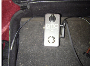 TC Electronic Ditto Looper (17295)