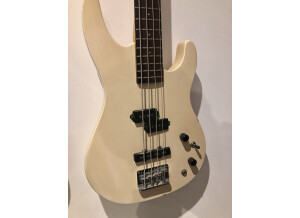 04D2320D-3C35-4D25-807A-797FB653C146