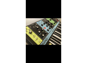 Moog Music Grandmother (15520)