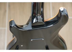 PRS 35th Anniversary SE Custom 24 (96022)