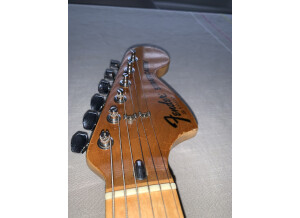 Fender Stratocaster Hardtail [1973-1983] (31758)