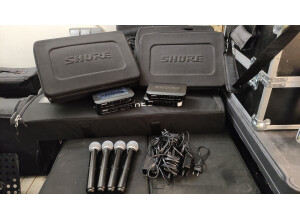 Shure BLX24R/SM58 (43836)
