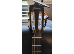 Ibanez GA5TCE (6963)
