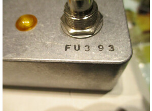 Fairfield Circuitry The Unpleasant Surprise - Experimental Fuzz/Gate  (9215)