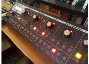 Moog Music SlimPhatty (44704)