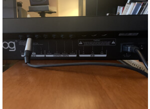 Moog Music SlimPhatty (93328)