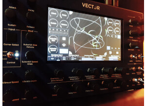 Vector Synth Vector (78313)