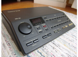 Roland RA-30 (3649)