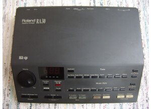 Roland RA-30 (59150)