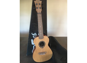 Roland A-800PRO-R (30371)