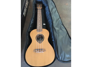 Roland A-800PRO-R (60312)