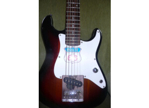 Fender Strat Plus Custom