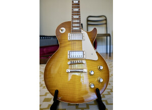 Gibson 1960 Les Paul Standard Reissue 2013 (24881)