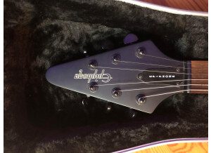 123140326_812782396216638_7453620996514905727_n