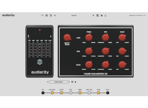 Audiority Solidus Randy 250