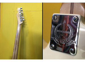 Fender Standard Telecaster [2009-2018] (63228)