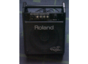 Roland PM-10 (20573)