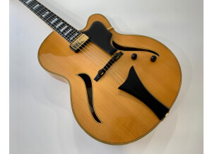 Hofner Guitars jazzica custom
