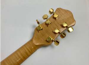 Hofner Guitars jazzica custom
