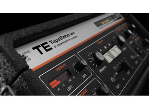 Ekssperimental Sounds Studio TE TapeEcho Mk2