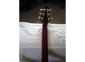 Greg Bennett TR1 (89939)