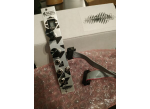 Noise Engineering Ataraxic Translatron (94798)