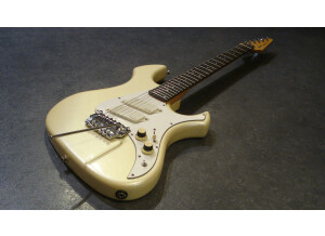 Fender Performer (38132)