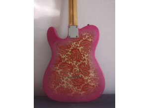Tokai Breezysound Paisley (42148)