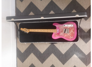 Tokai Breezysound Paisley (66877)