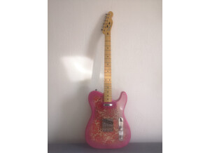 Tokai Breezysound Paisley (3963)