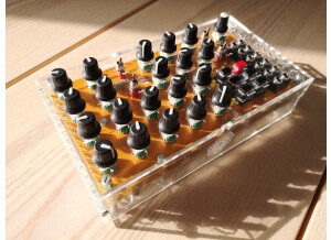 Mutable Instruments Anushri (43034)