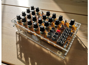 Mutable Instruments Anushri (40580)