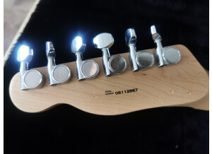 Fender Special Edition Lite Ash Telecaster (84661)