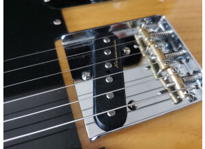 Fender Special Edition Lite Ash Telecaster (81035)