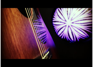 Martin & Co 00-15E Retro (95904)