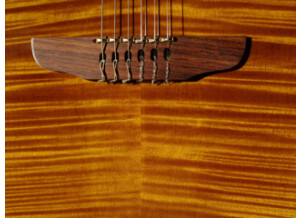 Godin Multiac Series - ACS-SA Slim Ambre Transparent