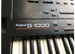 Roland G-1000 (88721)