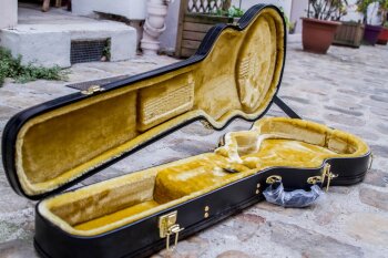 LPJoeBonamassa-32 LPJoeBonamassa-32