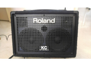 Roland KC-110 (16294)