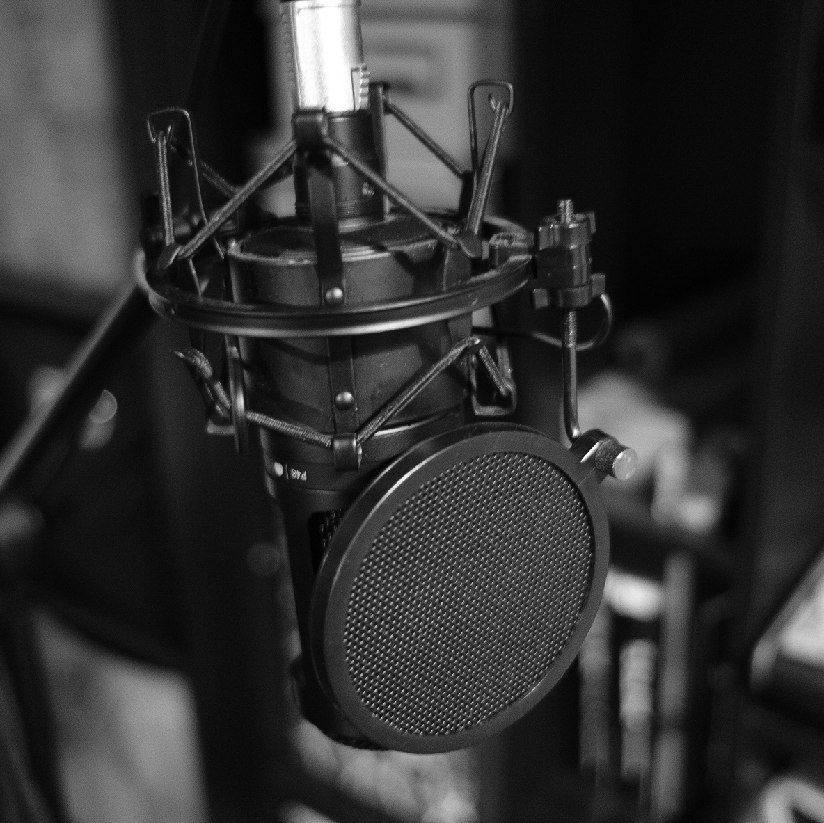 Audio-Technica AT2020